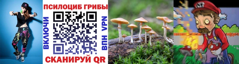 Галлюциногенные грибы Psilocybine cubensis  Камбарка 